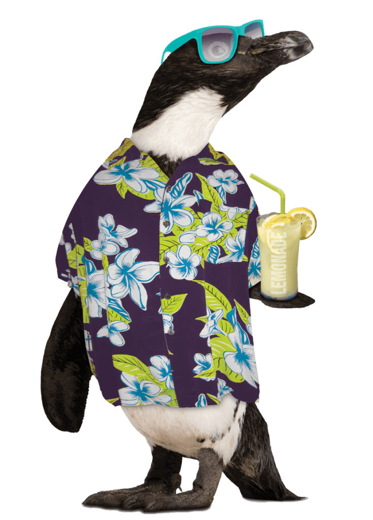 gilmore heating and air penguin