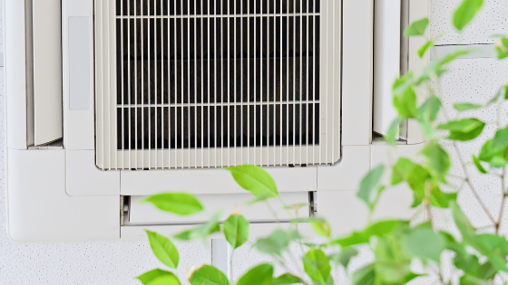 Can Poor Indoor Air Quality Affect Your Health